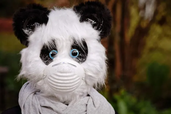 Cazino Hot Line Cazinou Suport